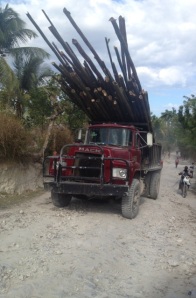 Load of bamboo poles going up to the construction site on our dump truck